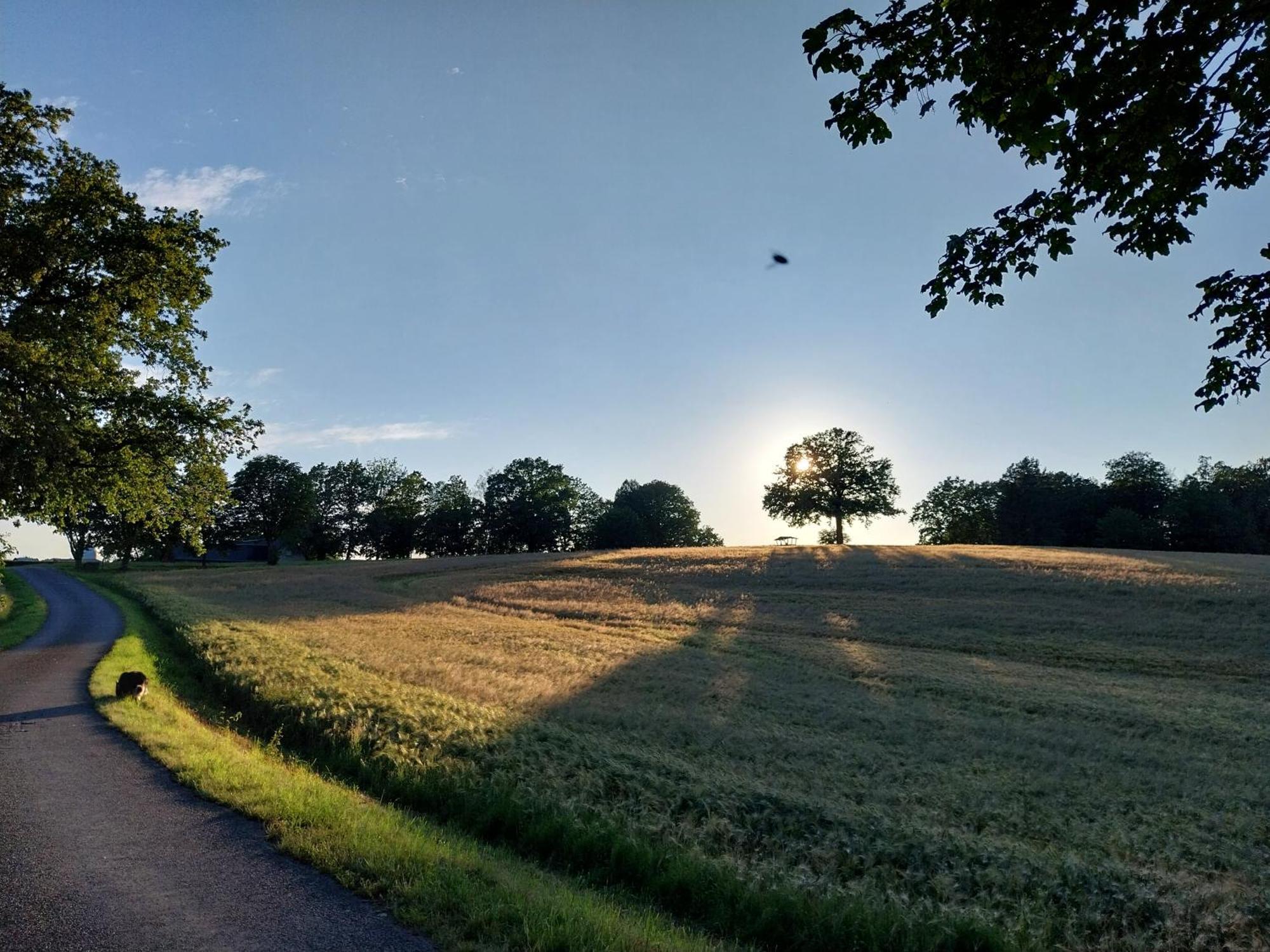 Landhotel Waldschloesschen Mit Gaststube Sohland an der Spree Exterior photo